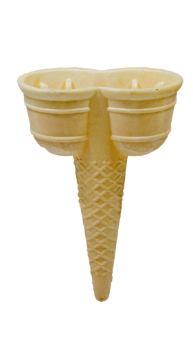 tulipan.png