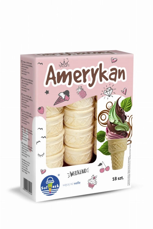 AMERYKAN WIZUALIZACJA.JPG